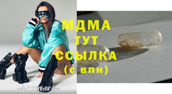 прущие грибы Арсеньев