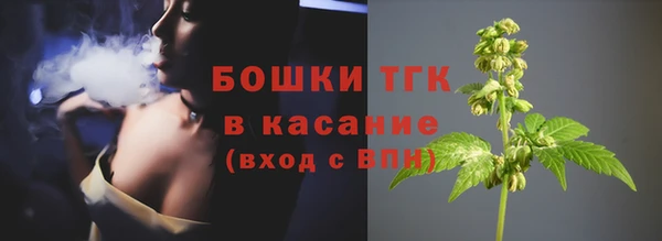 прущие грибы Арсеньев