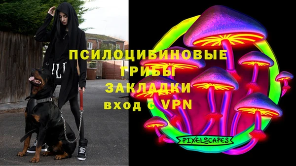 сатива Аркадак