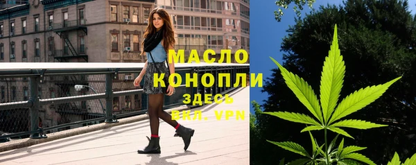 сатива Аркадак