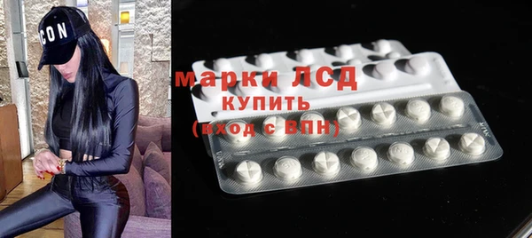 прущие грибы Арсеньев