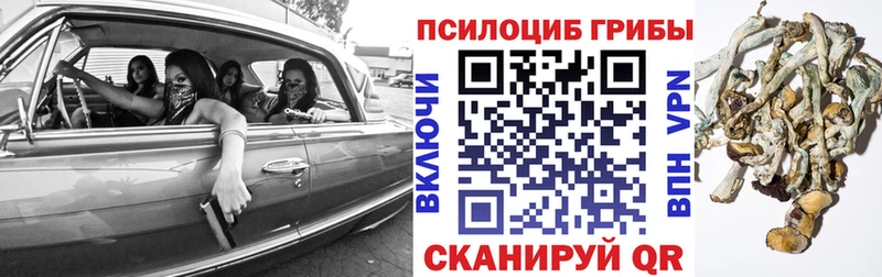Купить Спасск-Дальний Галлюциногенные грибы прущие грибы